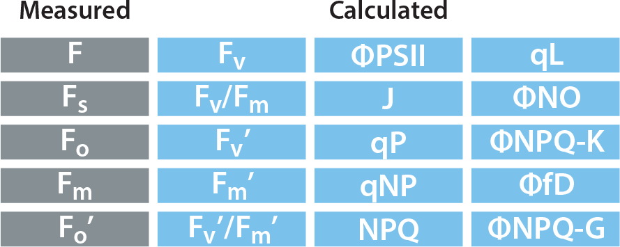 measured and calculated chlorophyll fluorescence parameters