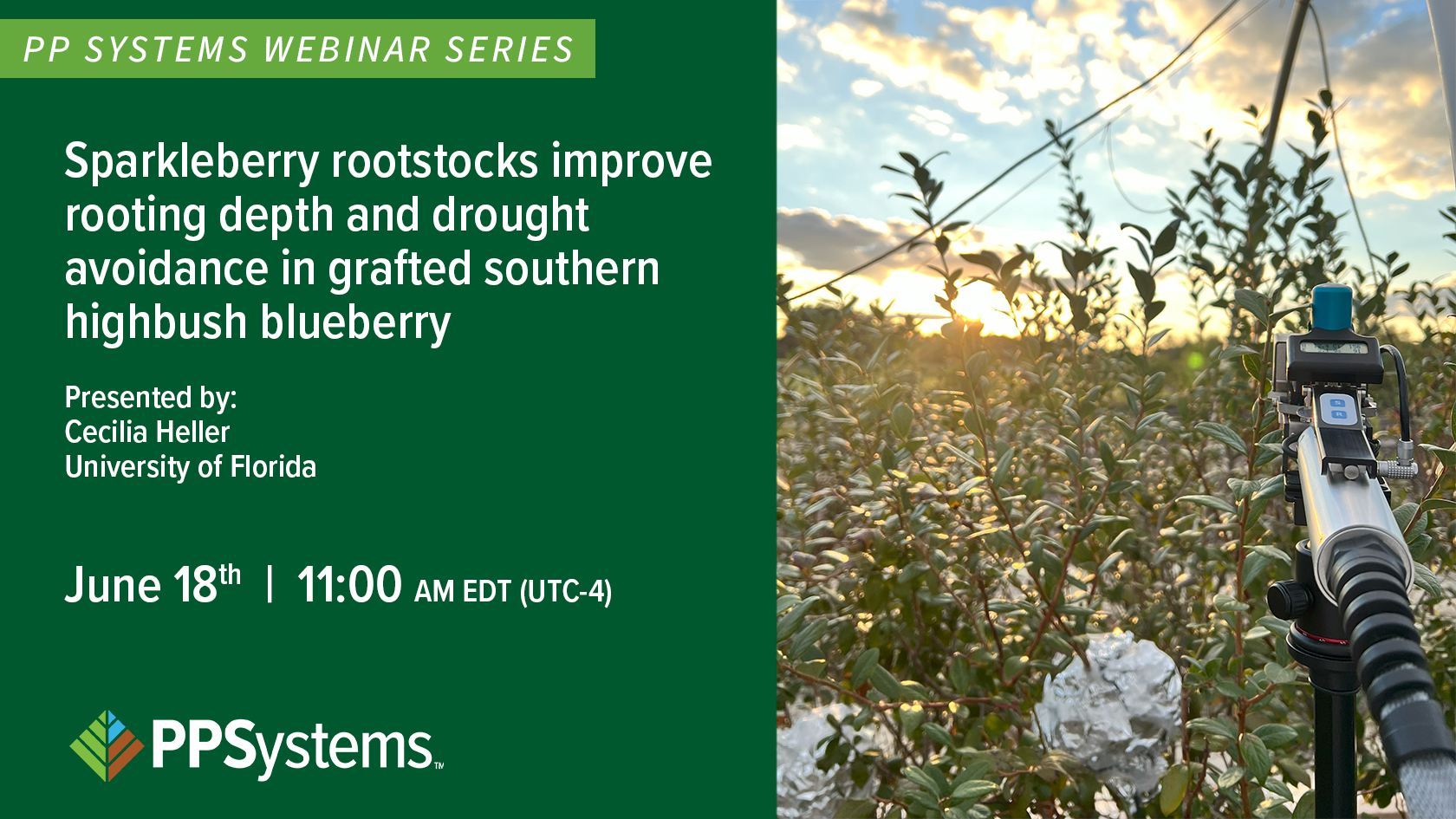Cecilia Heller Webinar