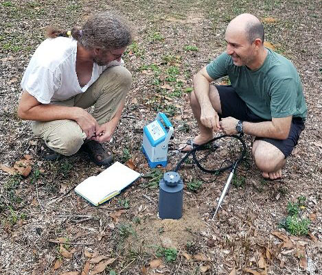 CO2 efflux measurement of ants