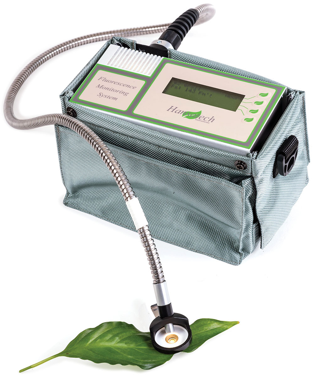 Chlorophyll Fluorometer