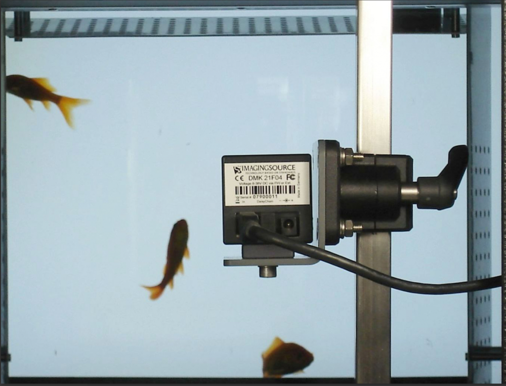 Fish Toximeter