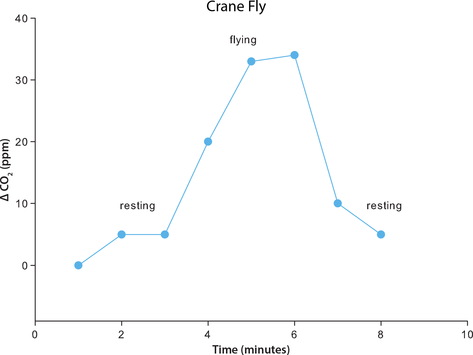 Measuring insect respiration